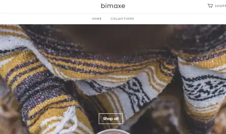 bimaxe home page