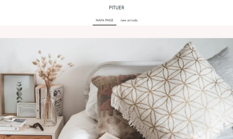 Pituer Review 2023: Is pituer.com a genuine store to buy items from? Check!