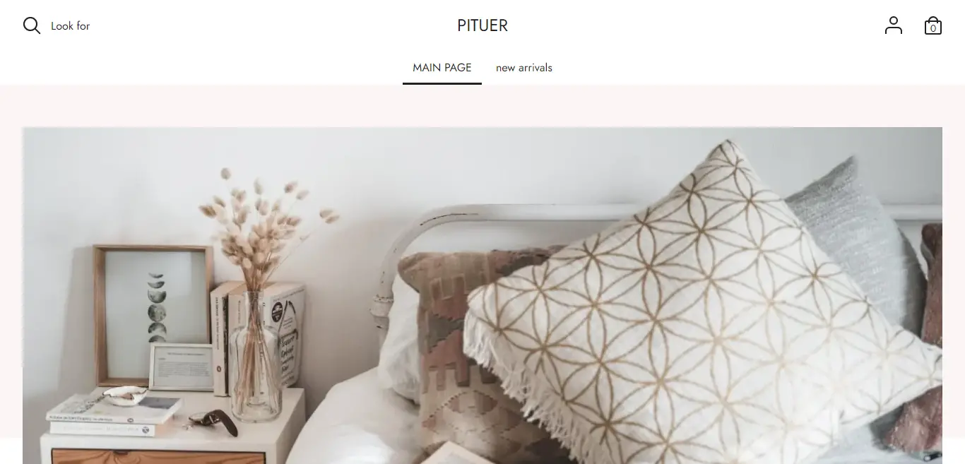 pituer store website