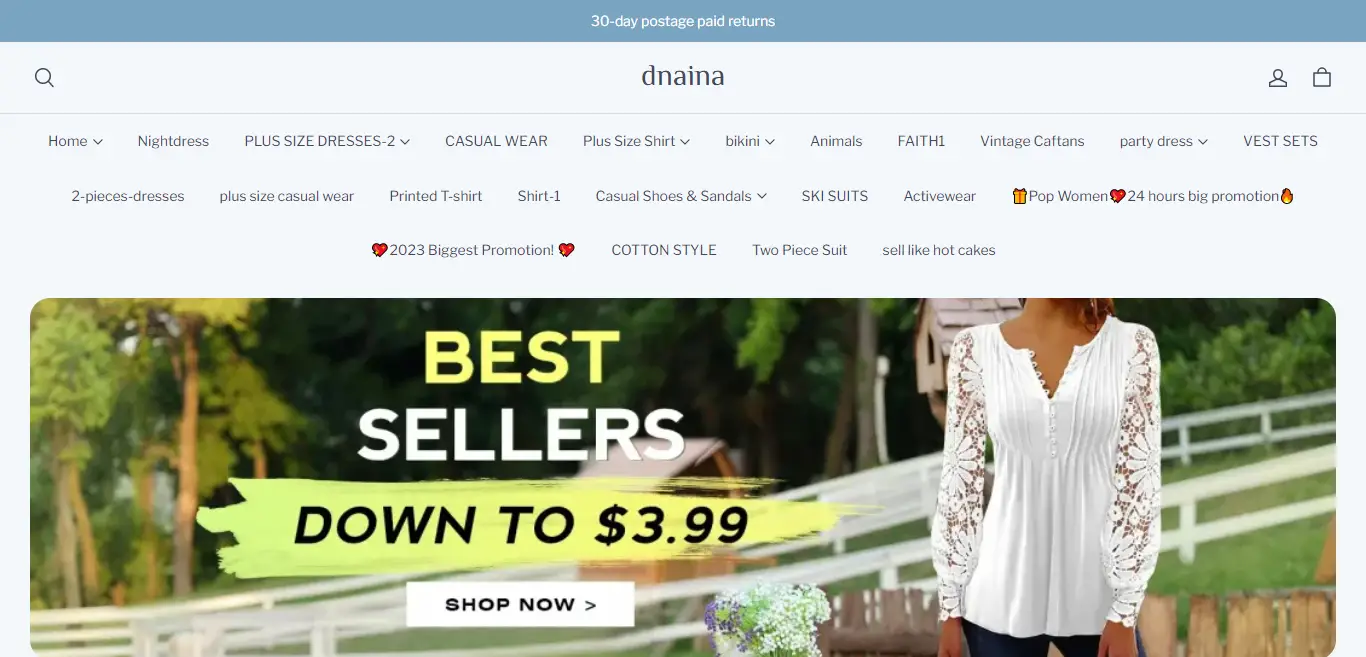 dnaina.com