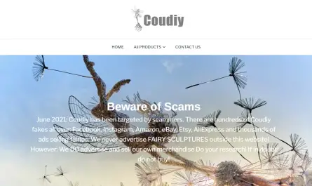 coudiy.com