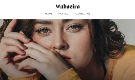 wabaeira.com