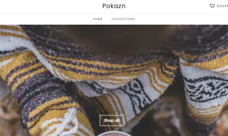 pokazn.com