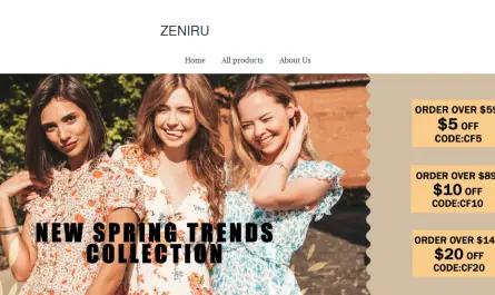 zeniru.com