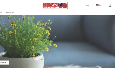 ceurwa.com