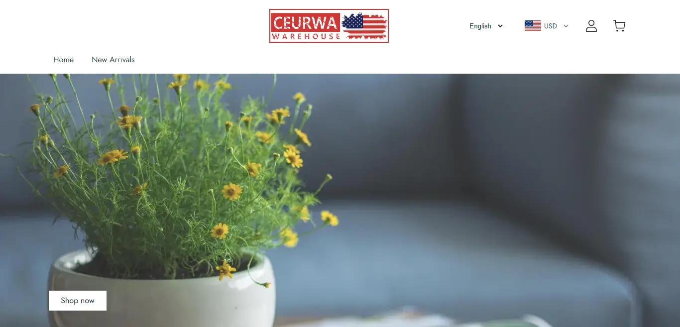 ceurwa.com