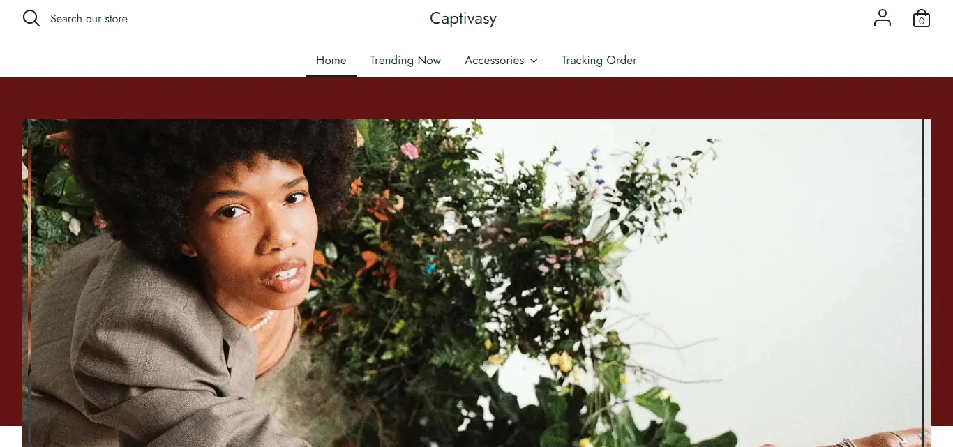 captivasy.com