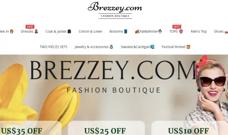 brezzey.com