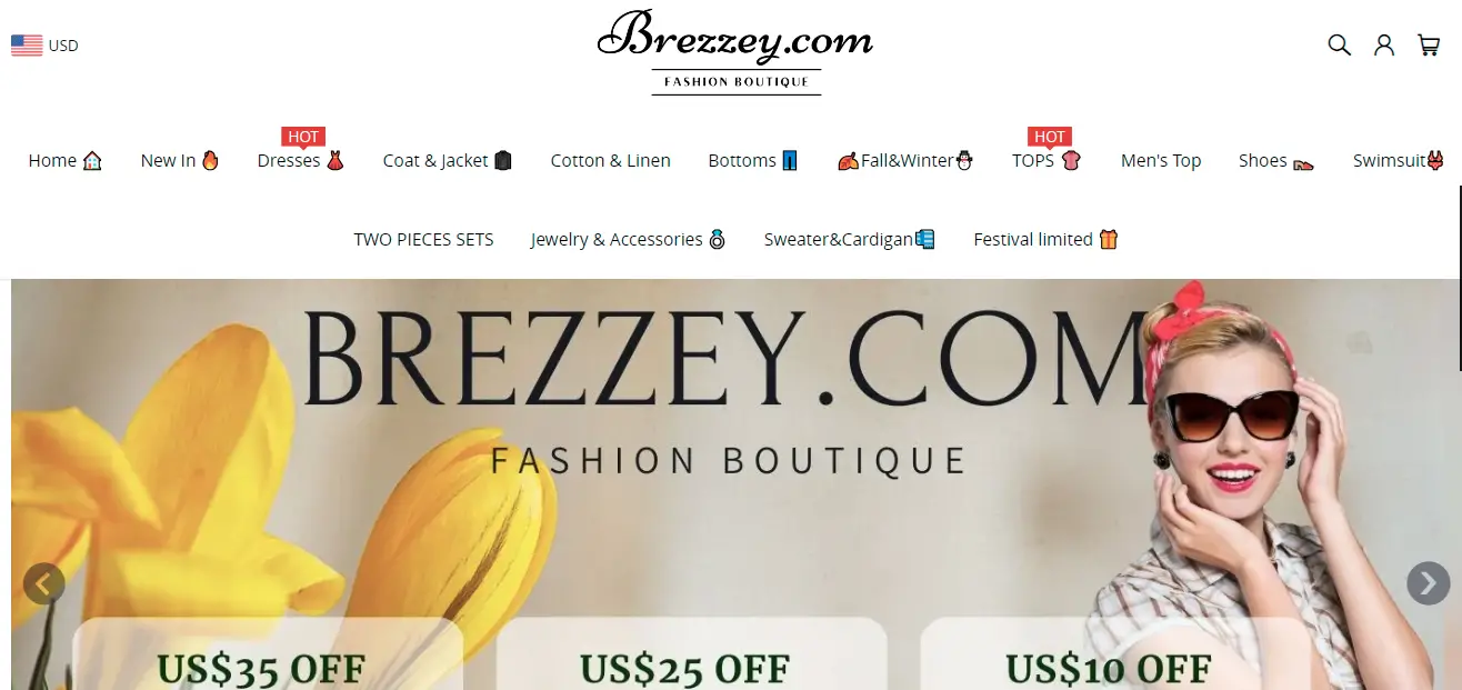 brezzey.com