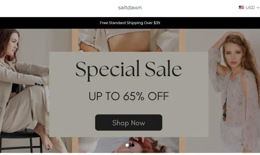 Saltdawn Review 2023: Best store for trendy wears or scam? Read to know!