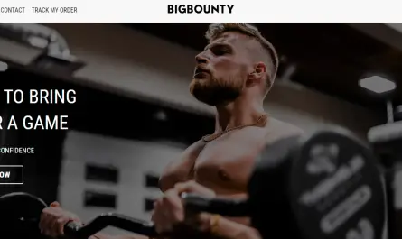 bigbountyshop.com