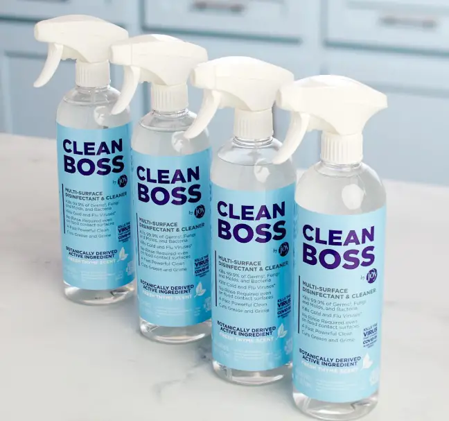 CleanBoss