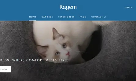 rayem.shop