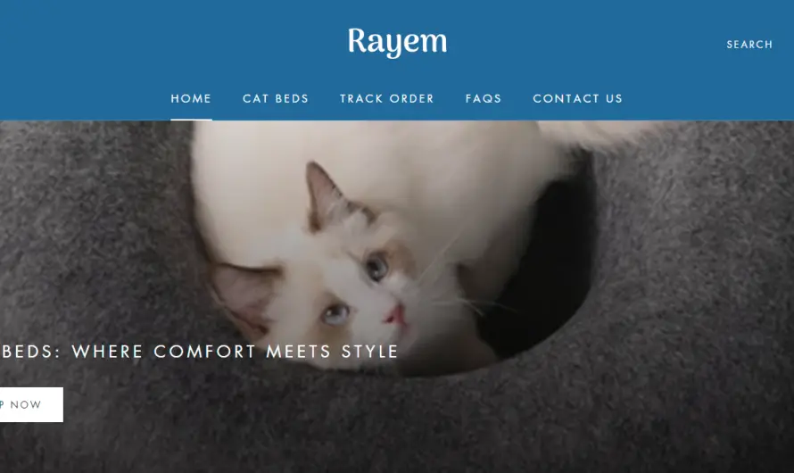 Rayem Review: Beware Of This Store!