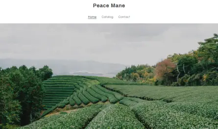 peacemane.com