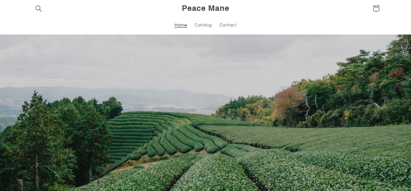 peacemane.com