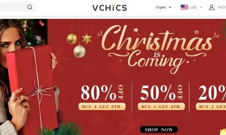 vchics.com