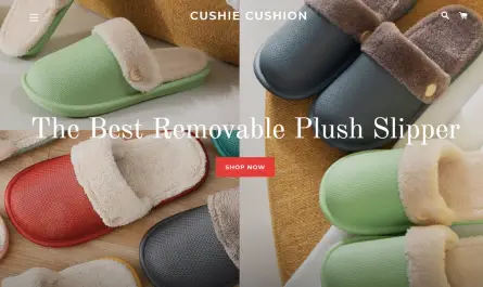 cushiecushionslides.com